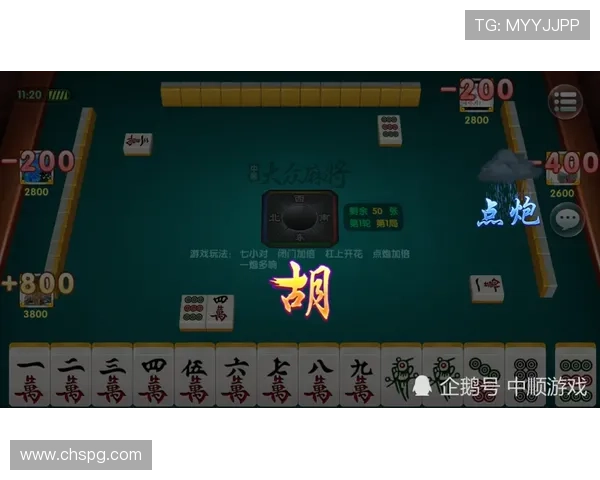 PG麻将真人平台怎么样的用户口碑好，分析玩家的真实评价与平台的信誉度